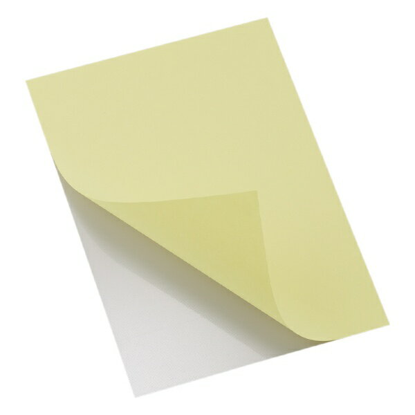 フジカラー 額装用バックシート 半切