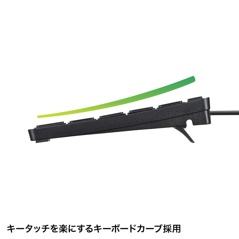 SANWA SUPPLY 英語配列USBスリムキーボード ブラック SKB-E2UN