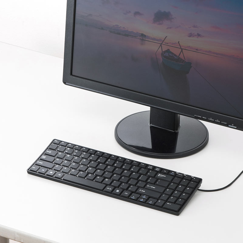 SANWA SUPPLY 英語配列USBスリムキーボード ブラック SKB-E2UN