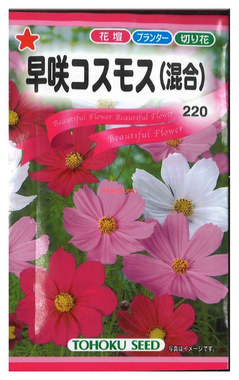 楽天市場】タキイ種苗 お徳用パック!コスモス畑 センセーション混合