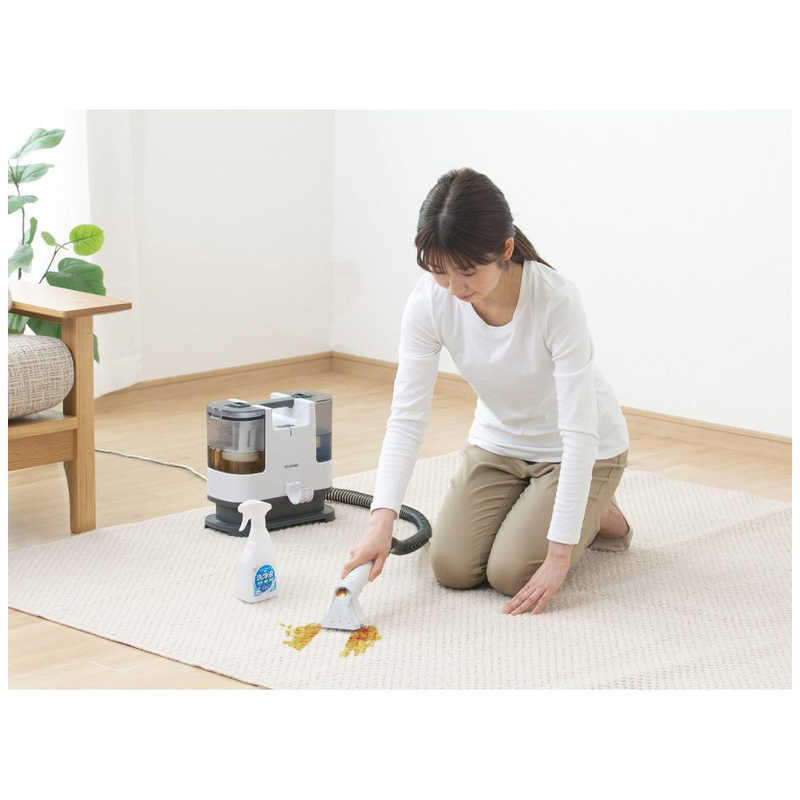 リンサークリーナー洗浄液(約460ml)