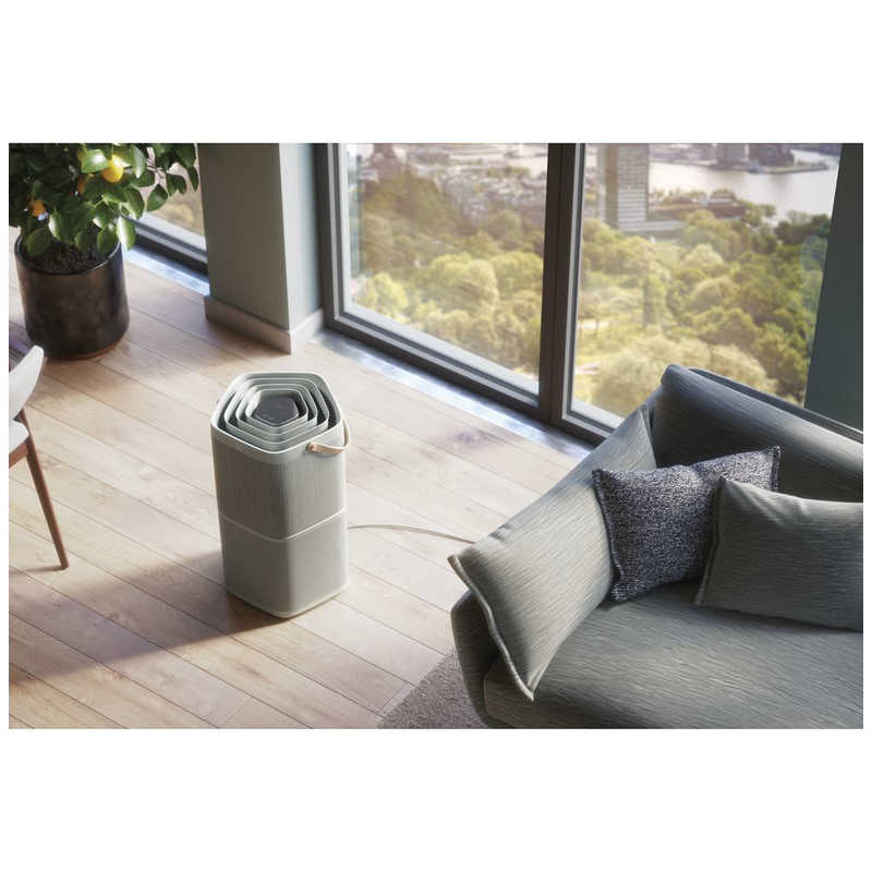 エレクトロラックス Pure A9.2 グレー EP71-56GYA