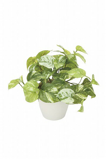 人工観葉植物 光の楽園/光触媒 マ―ブルポトス/836G35 21 造花 葉物 フェイクグリーン 人工樹木 卓上ポットおしゃれ インテリア 店舗 オフィス 装飾 ディスプレイ