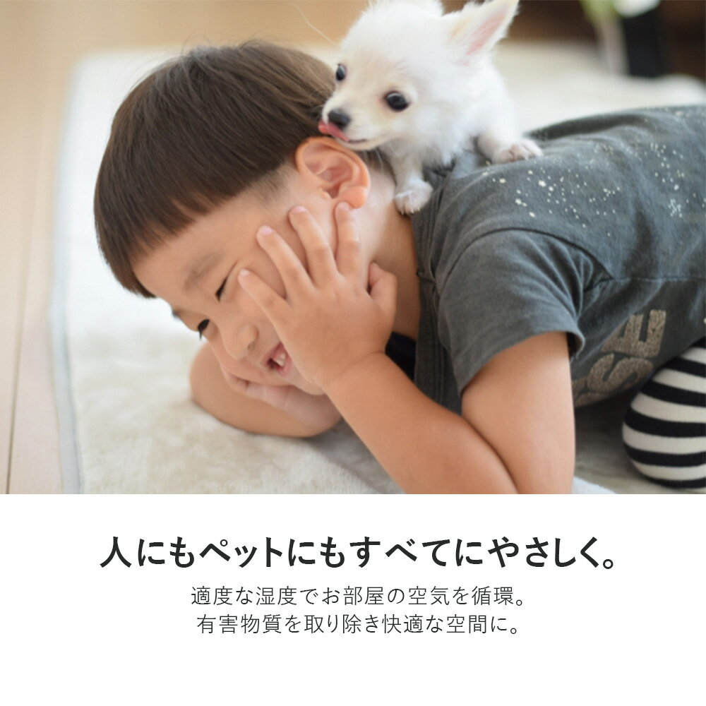 アーウィンジャパン USB加湿空気清浄機 AAP-K9