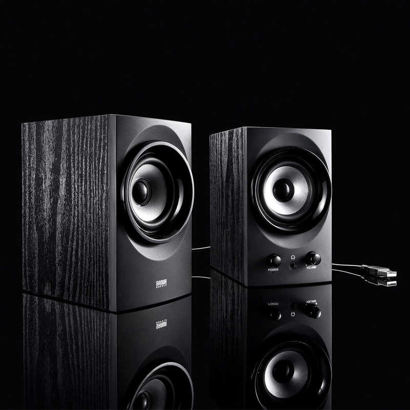 SANWA SUPPLY ハイパワーUSBスピーカー MM-SPU9BKN