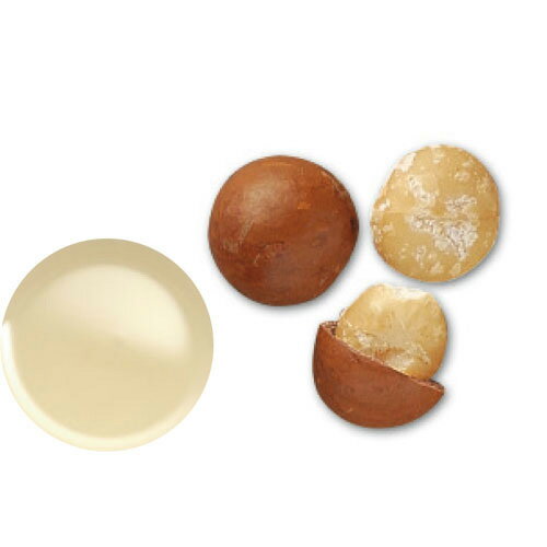 生活の木/マカデミアナッツオイル 60mL/12-401-7120