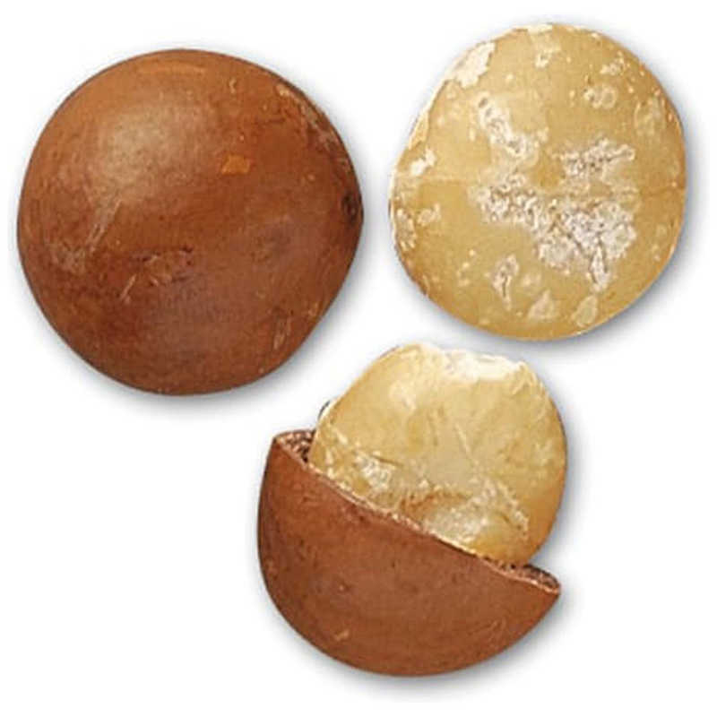 生活の木/マカデミアナッツオイル 60mL/12-401-7120