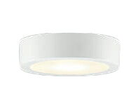 楽天市場】大光電機 DAIKO LED調色調光タイプシーリング DCL-40988