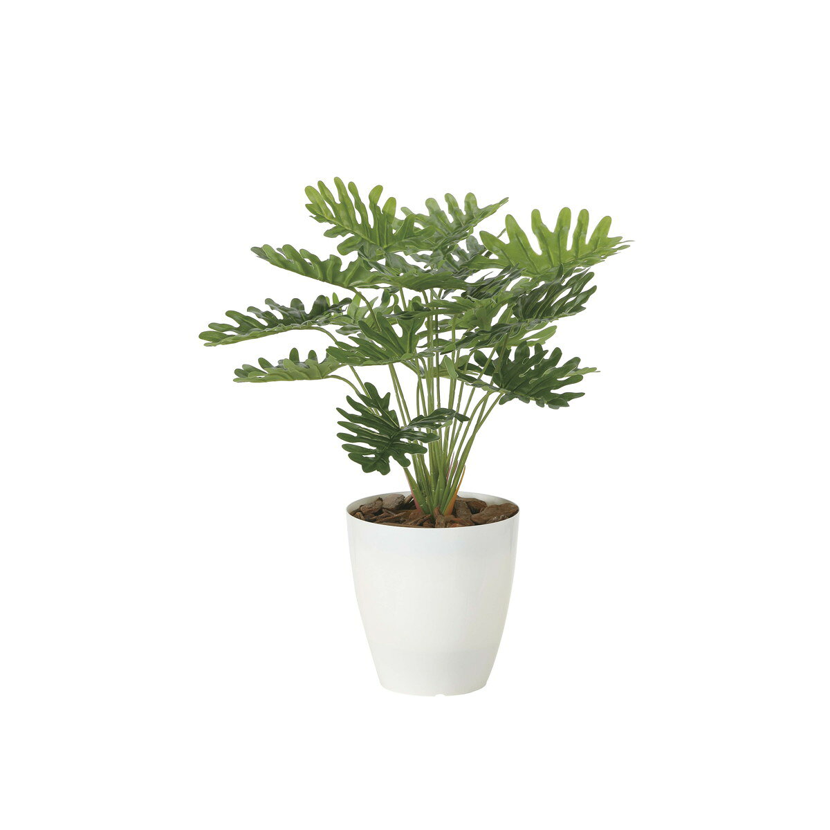人工観葉植物 光の楽園/光触媒 フレッシュクッカバラ/2216A50 21 造花 葉物 フェイクグリーン 人工樹木 おしゃれ インテリア 店舗 オフィス 装飾 ディスプレイ