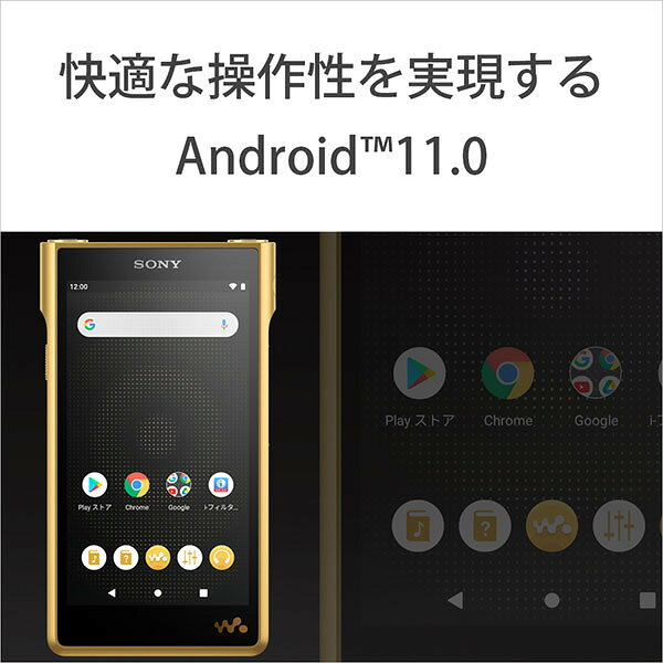 SONY ウォークマン WM1シリーズ NW-WM1ZM2