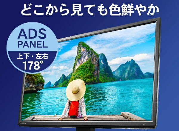I・O DATA 21.5型 ワイド液晶ディスプレイ ブラック LCD-AH221XDB-B