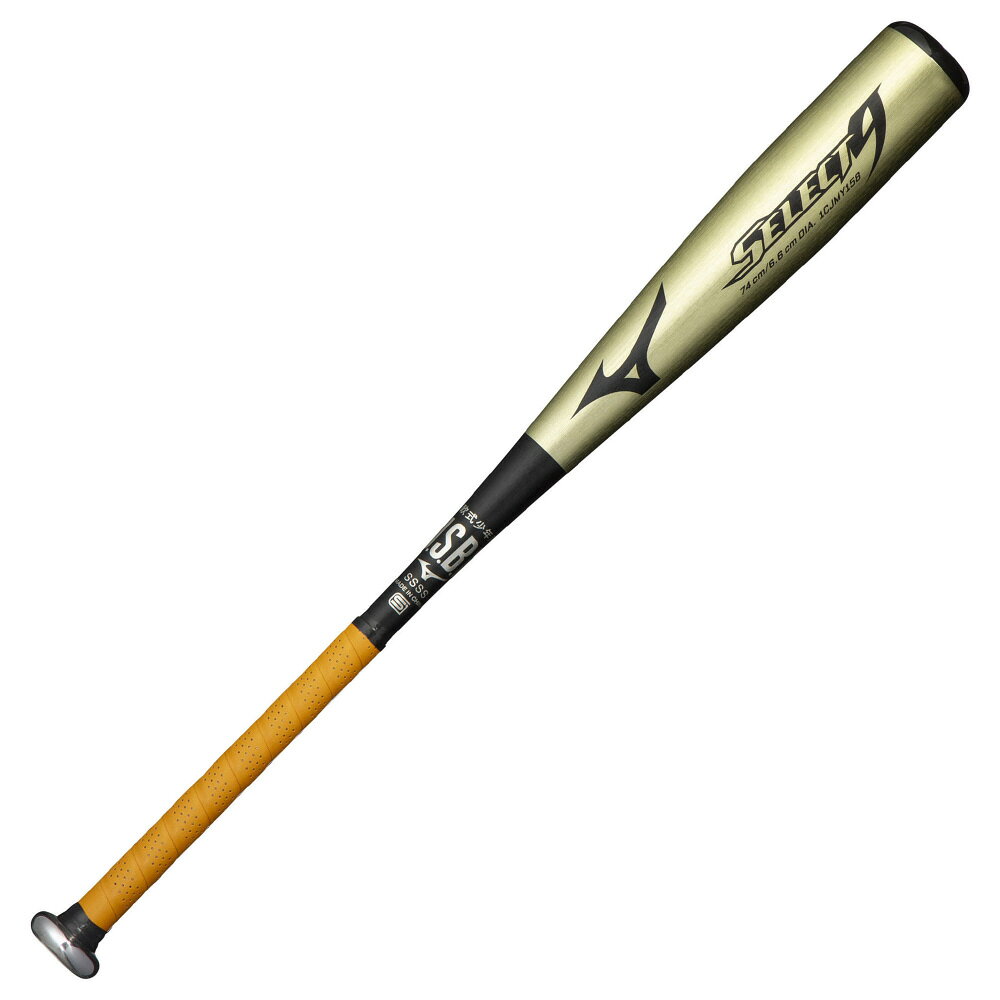楽天市場】美津濃 MIZUNO 少年軟式用バット DS-1 1CJMY15574 | 価格