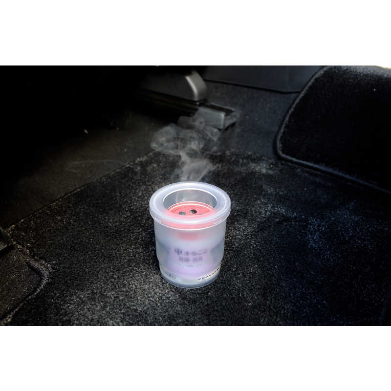 クルマのスッキーリ!Sukki-ri! 車まるごと除菌・消臭 普通車用