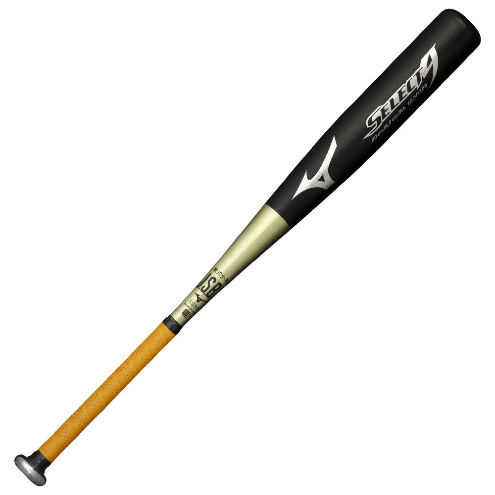 楽天市場】美津濃 MIZUNO 少年軟式用バット DS-1 1CJMY15574 | 価格
