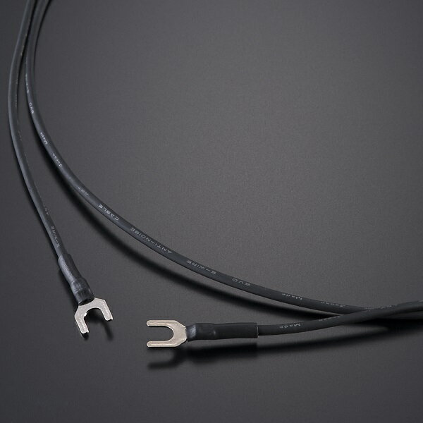 aet EVO-EW075Y55-3.0 1本