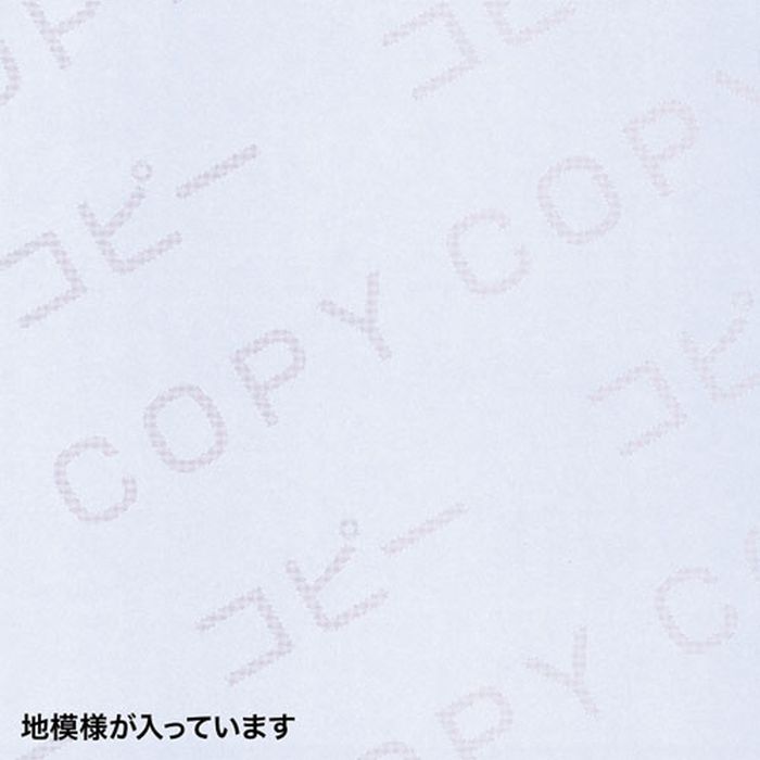 SANWA SUPPLY マルチタイプコピー偽造防止用紙 A4 JP-MTCBA4N