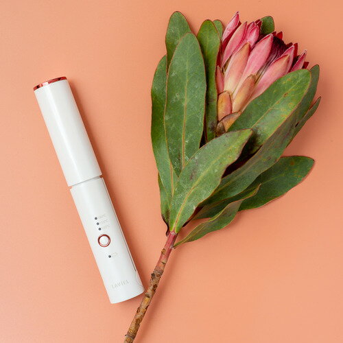 丸隆 LAVIEL Cordless ストレートアイロン LV-CL-SI