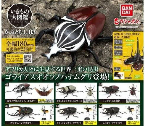 いきもの大図鑑　くわがた02 全4種① バンダイ いきもの大図鑑 くわがた02 ミヤマクワガタ