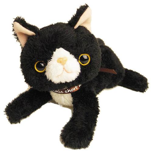 楽天市場】ナカジマコーポレーション エキゾチックにゃぱん 子猫
