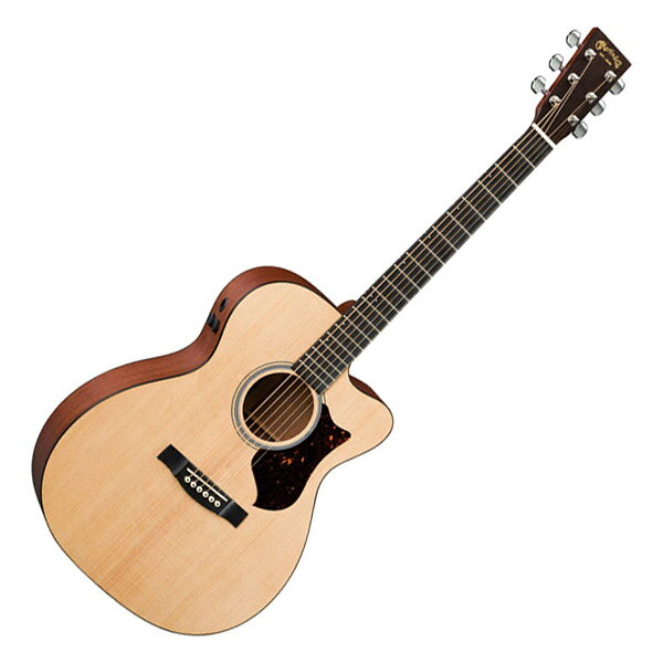 楽天市場】Martin / マーチン GPCPA1 Plus エレアコギター | 価格比較