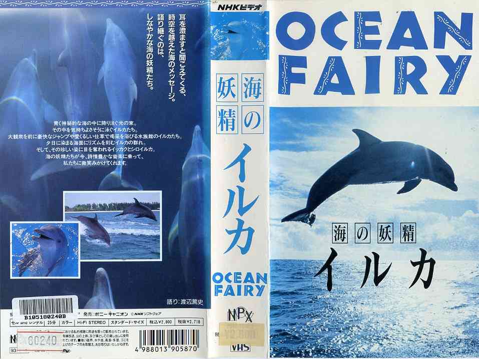 楽天市場】ポニーキャニオン 海の妖精 イルカOCEAN FAIRY (ビデオ/VHS