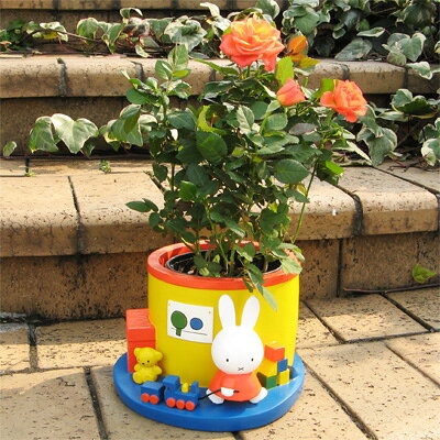 ミッフィー　加藤工芸　プランター　植木鉢　ガーデニング　レア　メラニー　希少 楽天市場】加藤工芸 (miffy) 3.5号鉢用プランター ミッフィーとおに