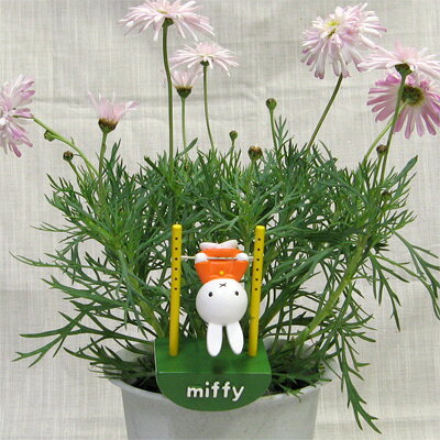 楽天市場】加藤工芸 (miffy) 3.5号鉢用プランター ミッフィーとおに