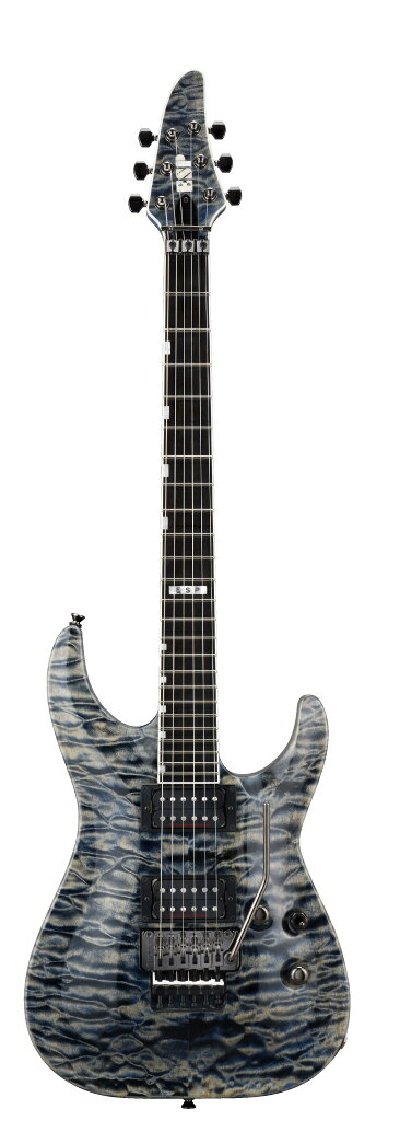 楽天市場】イー・エス・ピー ESP J-TVB-V Blond Sig. #10 | 価格比較