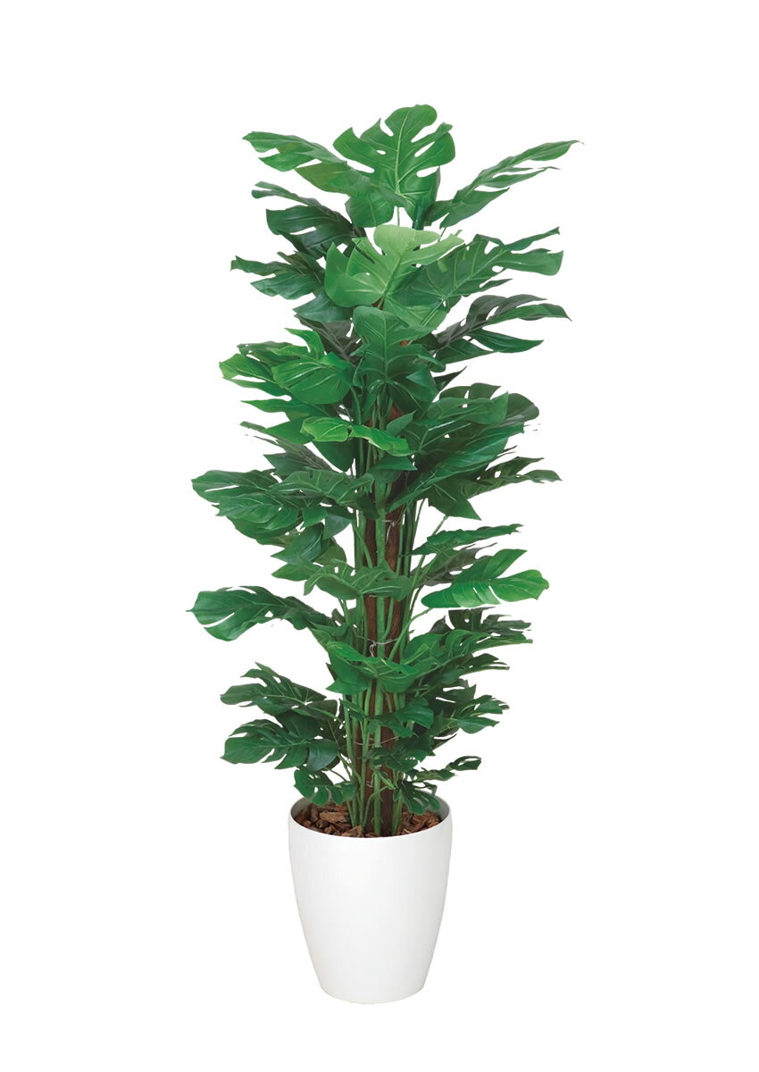 生き生きとした緑がで一年中楽しめます!スプリット(光触媒・人工観葉植物)