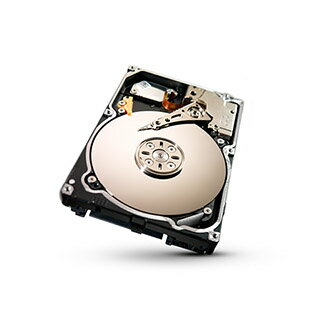Constellation 2シリーズ 2.5inch SATA 6Gb/s 1TB 7200rpm 64MB ST91000640NS