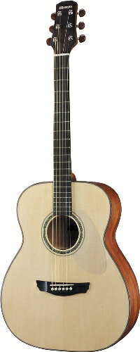 楽天市場】モリダイラ楽器 Morris / モーリス MG702S / DV