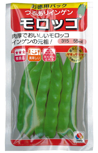 楽天市場】タキイ種苗 タキイの種 つるなしインゲン 耐病モロッコ