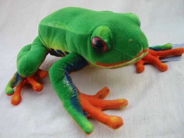 楽天市場】赤目アマガエル ぬいぐるみ アカメアマガエル かえる