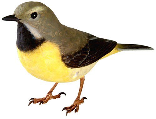 楽天市場】タカラトミー タカラトミー 小鳥日和・野鳥美術館