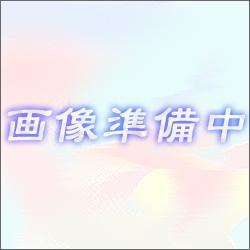 マイルストーン MMAX08-256W