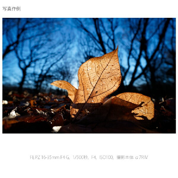 SONY 交換レンズ FE PZ 16-35F4 G