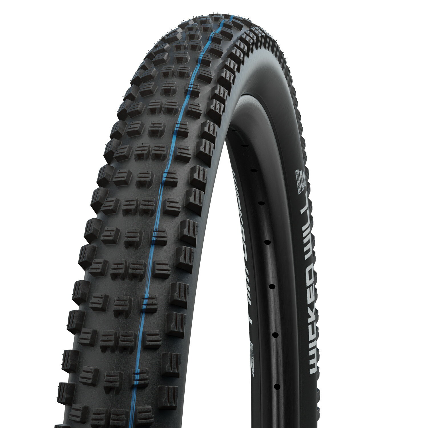 楽天市場】SCHWALBE シュワルベ ビッグベティ MTB グラビティ タイヤ