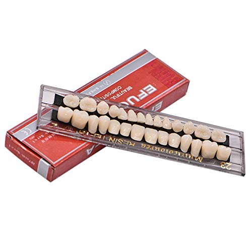 歯科用アクリル 樹脂 義歯キット