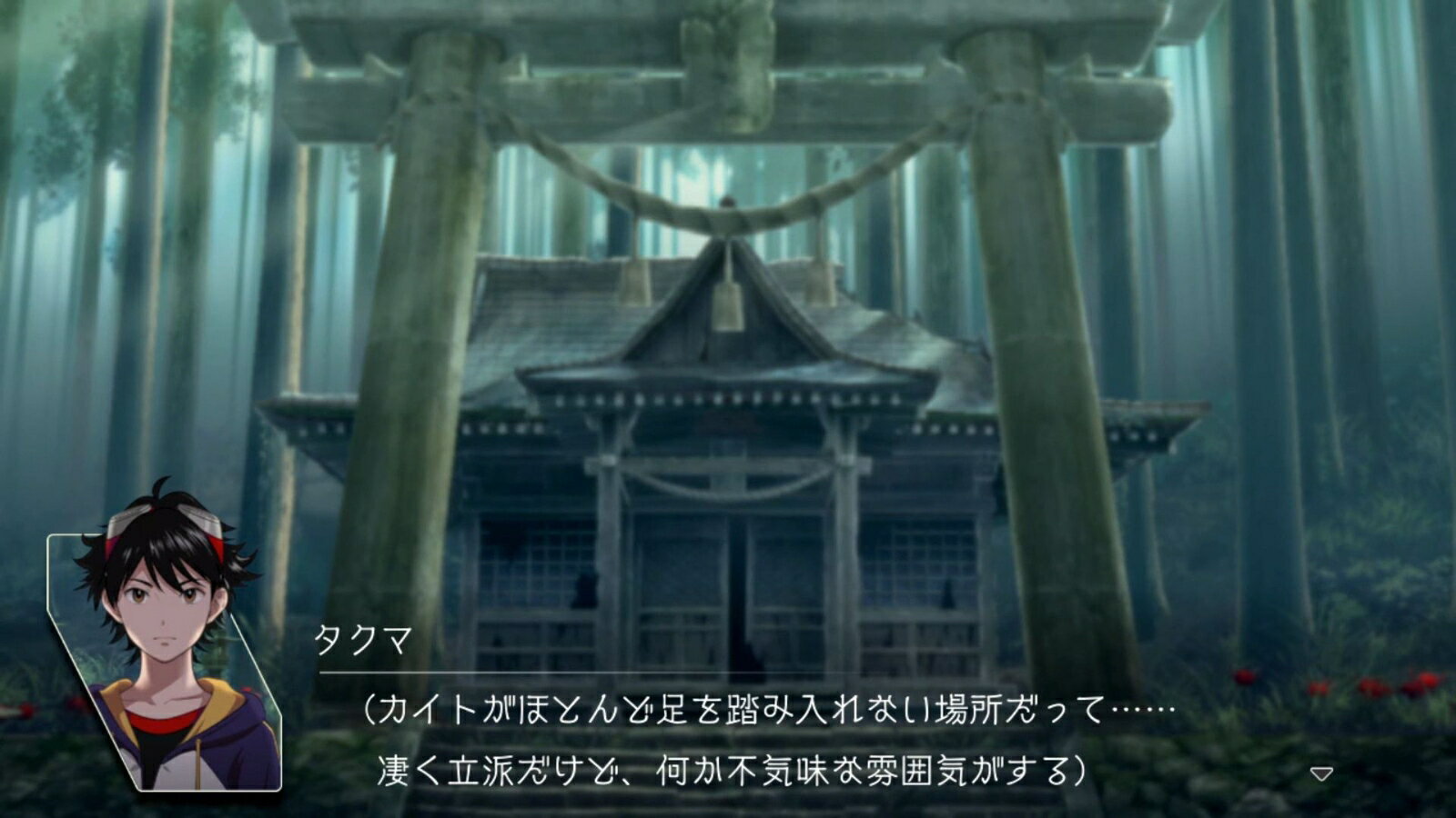 ＰＳ４　デジモンサヴァイブ　【ＰＳ４】