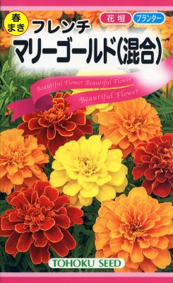 トーホク フレンチマリーゴールド混合
