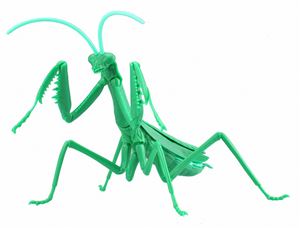 フジミ　自由研究24EX-1 いきもの編 アメリカザリガニ　ブルー　完成品 Amazon | フジミ模型 自由研究シリーズ No.24 EX-1 いきもの編
