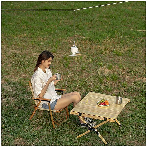 新東京物産 ワイヤレス吊り下げファン Taskarl ホワイト TTF-80W DCモーター搭載 /リモコン付き TTF80