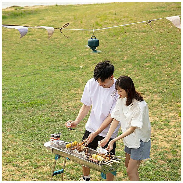 新東京物産 ワイヤレス吊り下げファン Taskarl ホワイト TTF-80W DCモーター搭載 /リモコン付き TTF80