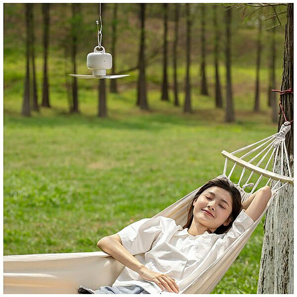 新東京物産 ワイヤレス吊り下げファン Taskarl ホワイト TTF-80W DCモーター搭載 /リモコン付き TTF80