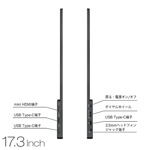 UNiQ 17.3インチ プロメテウスモニター UQ-PM173FHDNT