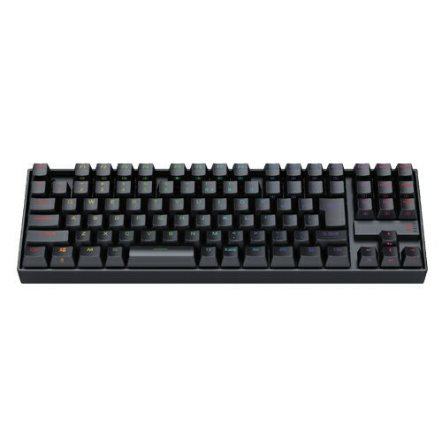 REDRAGON ゲーミングキーボード 日本語テンキーレス 銀軸92KEY ブラック K552RGB-JPTI