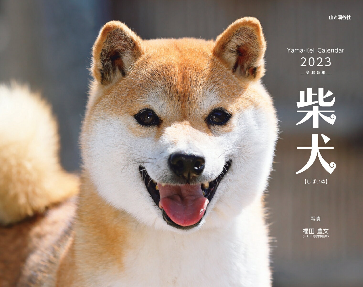 柴犬 フォトカレンダー 壁掛け 2023 令和五年 柴犬カレンダー 可愛い