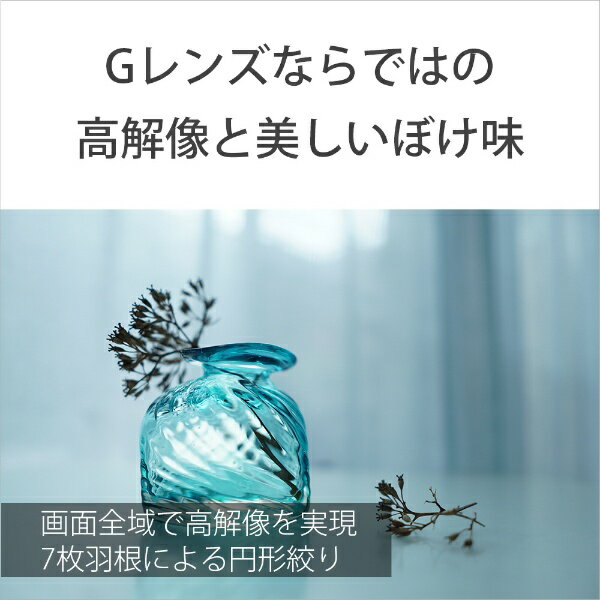 SONY 交換レンズ E 15F1.4 G