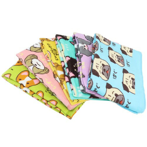 ワンワンワールド フェイスタオル プリントロングタオル こーぎー いぬ 犬飼タオル かわいい グッズ 男の子 女の子 ギフト