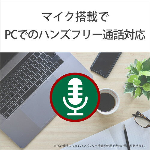 SONY ワイヤレスイヤホン WI-C100(W)